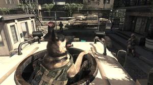 And that reason has nothing to do with dogs keeping watch in tanks.