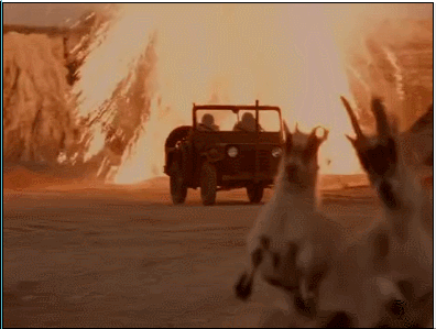 REMEMBER WHEN THOSE GOATS WERE FIREBOMBED THIRTY MINUTES AGO? NO, ME NEITHER.